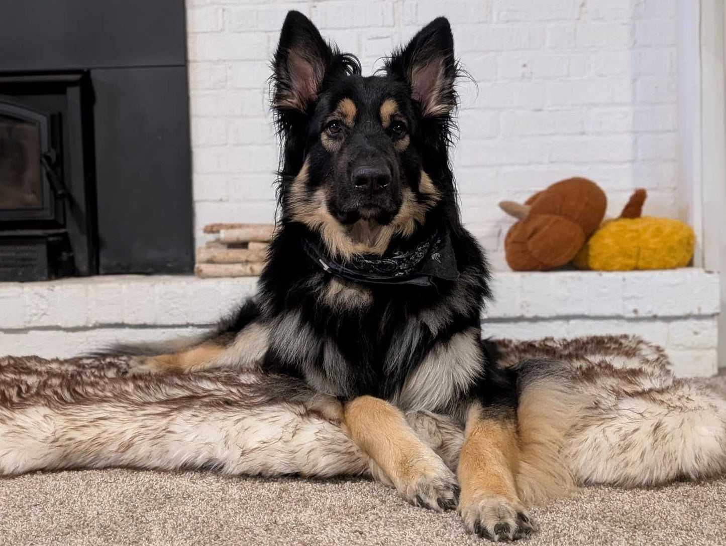 Luxury Fluffy Faux Fur Warm Dog Bed Calming Donut Dog Bed | Anti-Anxiety Faux Fur Shag