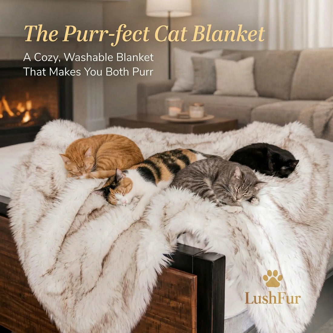 The Purr-fect Cat Blanket: A Cozy, Washable Blanket That Makes You Both Purr