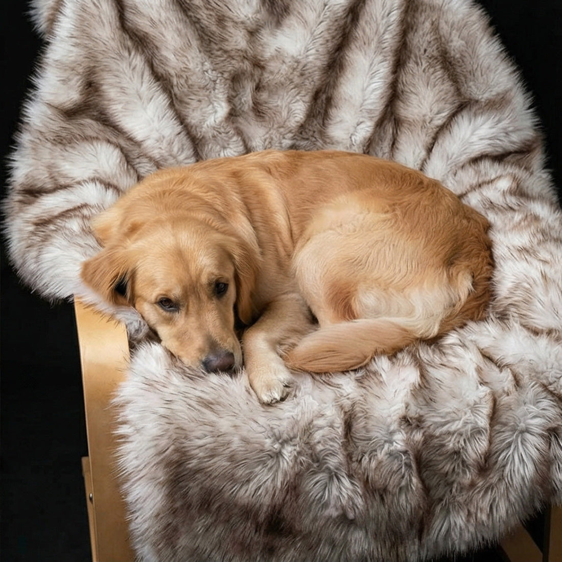 Dog Proof Your Home Without Ruining Your Vibe: Why You Need a Waterproof Faux Fur Throw