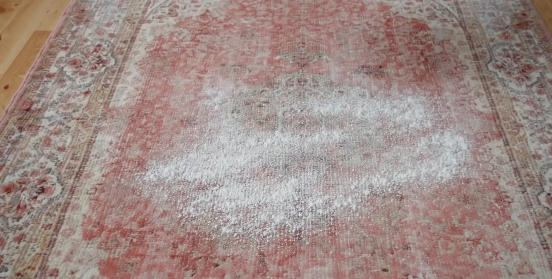 How to Clean a Pet Rug: The Complete 2026 Washing Guide | Warmloomo