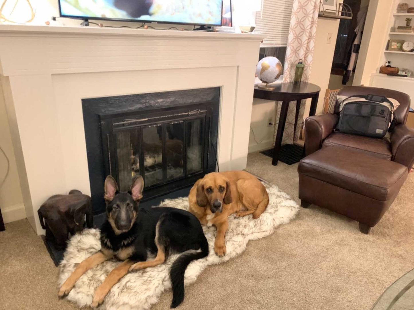 Luxury Fluffy Faux Fur Warm Dog Bed Calming Donut Dog Bed | Anti-Anxiety Faux Fur Shag