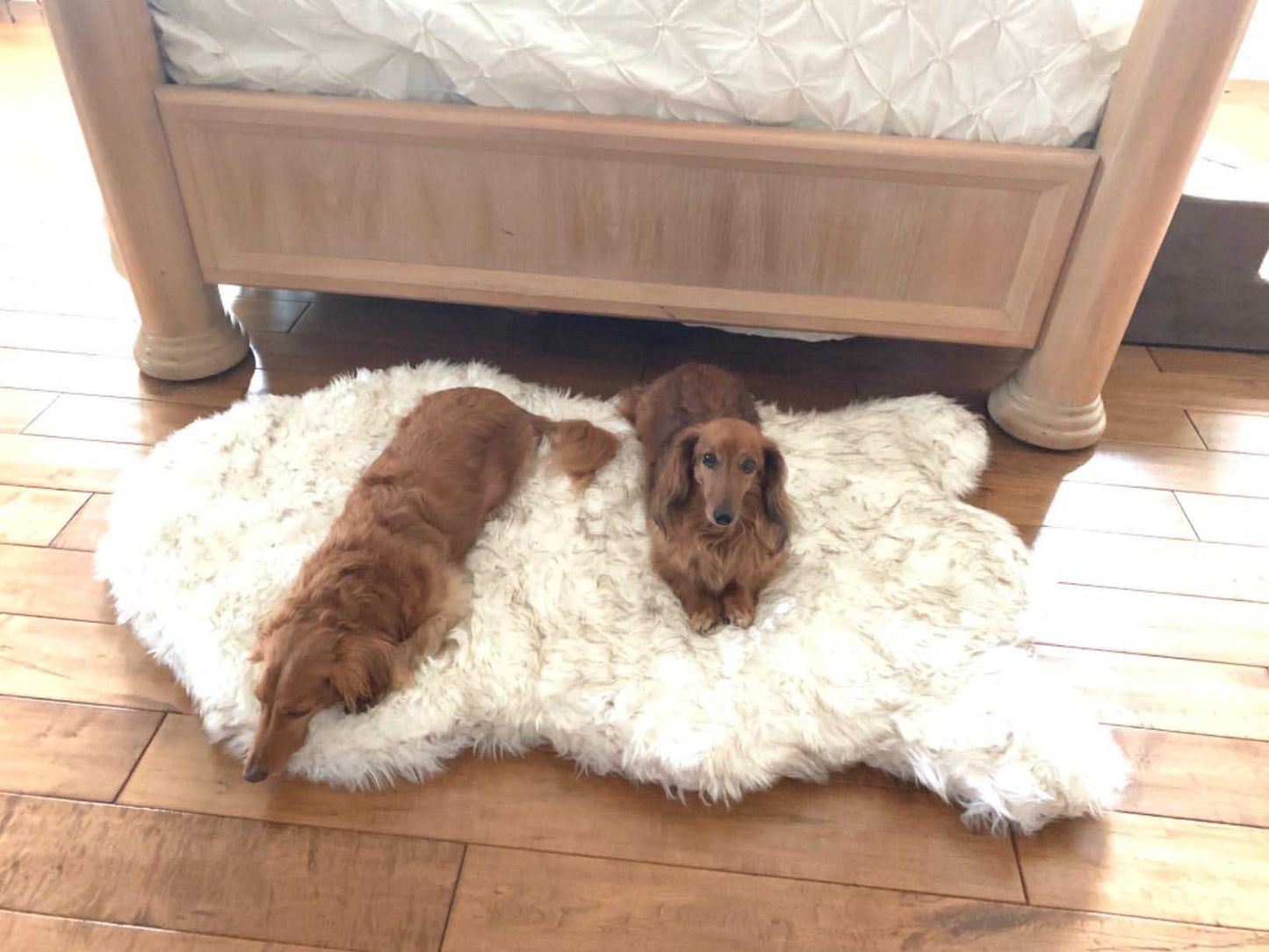 Luxury Fluffy Faux Fur Warm Dog Bed Calming Donut Dog Bed | Anti-Anxiety Faux Fur Shag