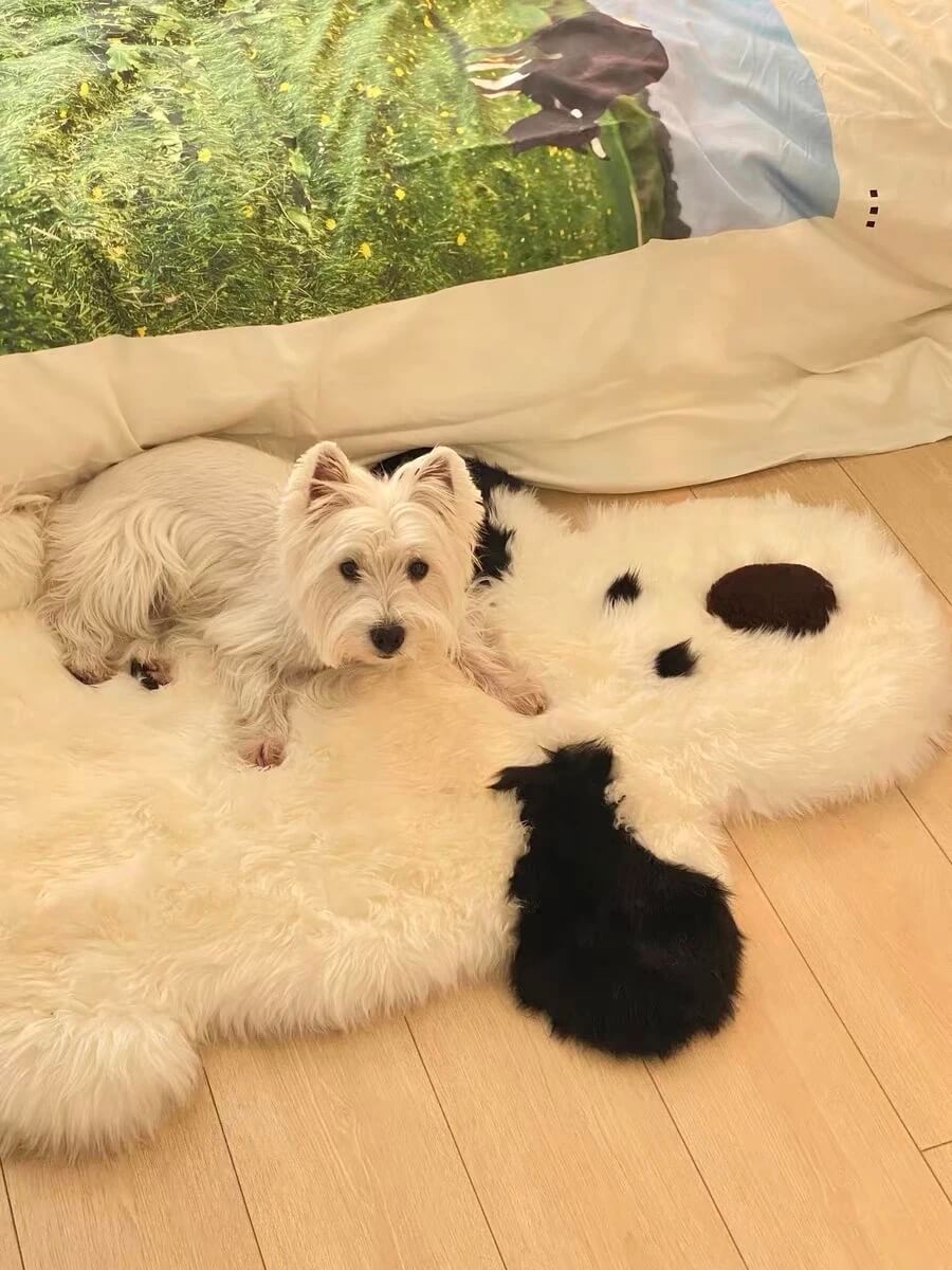 Australian-Style Shearling Rug for Living Room — Genuine Sheepskin OR Machine Washable Faux Version | Non-Slip, Plush Long Hair Carpet