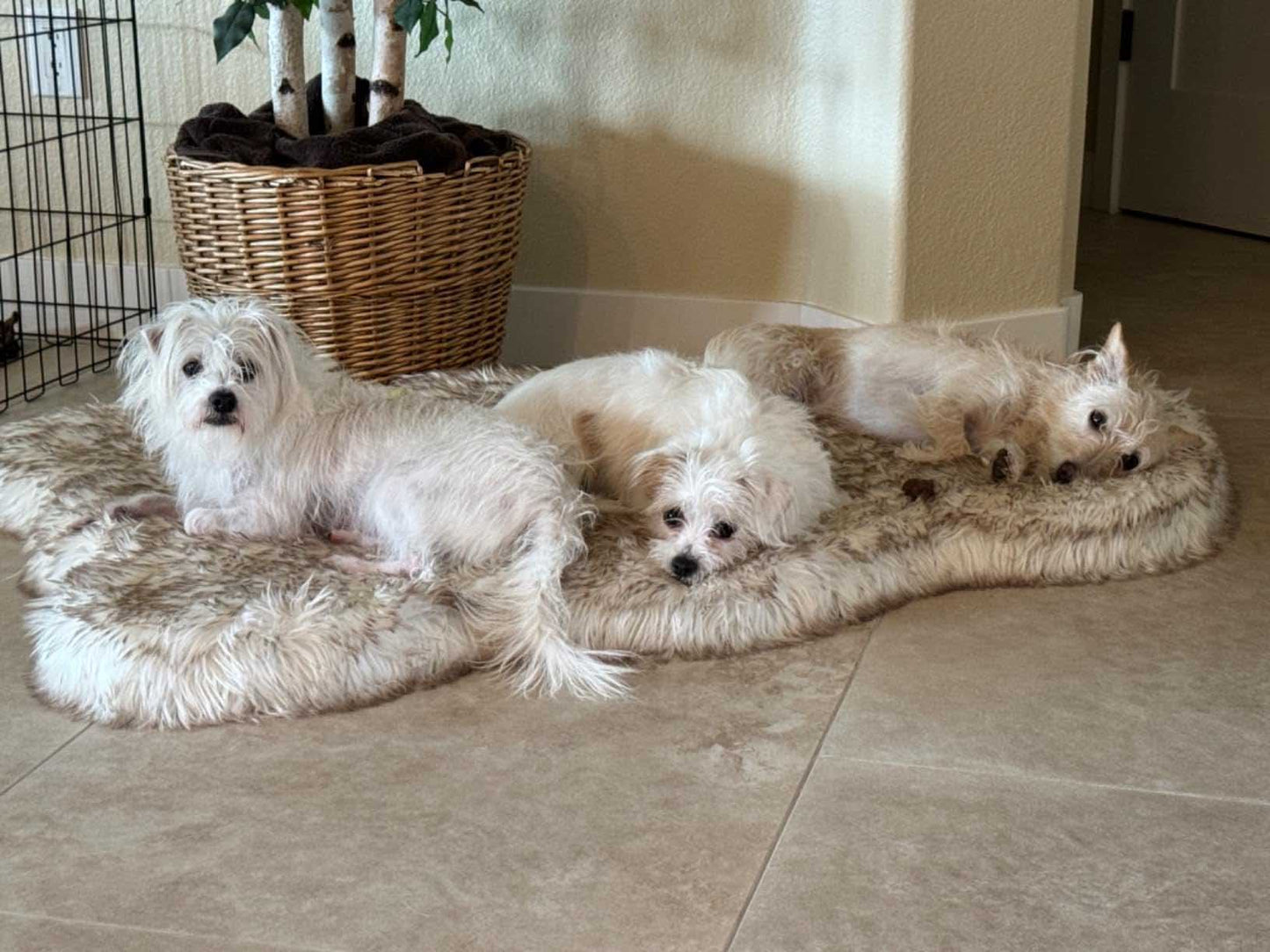 Luxury Fluffy Faux Fur Warm Dog Bed Calming Donut Dog Bed | Anti-Anxiety Faux Fur Shag