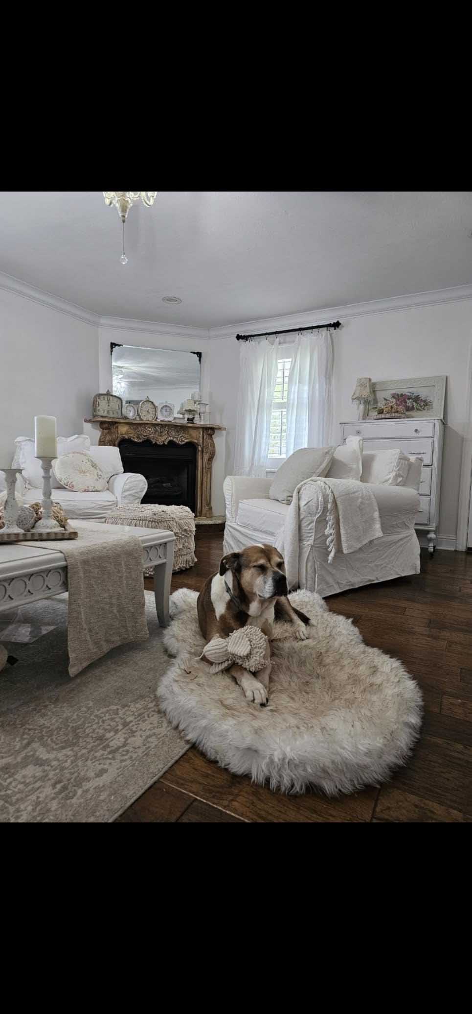 Luxury Fluffy Faux Fur Warm Dog Bed Calming Donut Dog Bed | Anti-Anxiety Faux Fur Shag