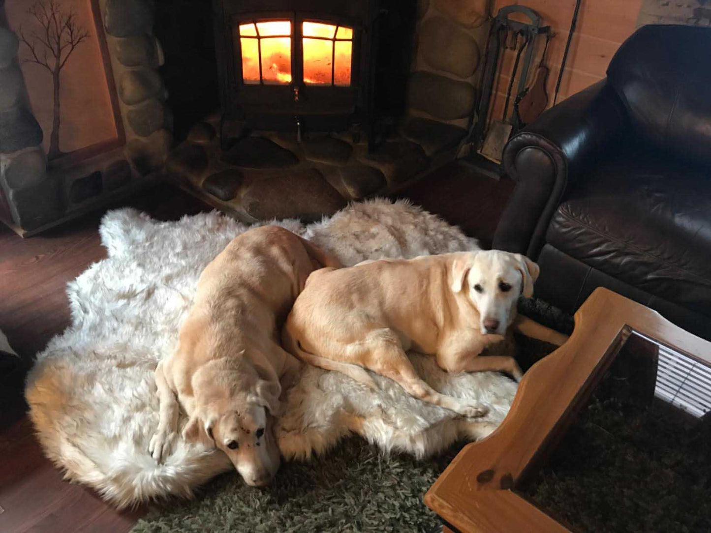 Luxury Fluffy Faux Fur Warm Dog Bed Calming Donut Dog Bed | Anti-Anxiety Faux Fur Shag