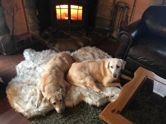 Luxury Fluffy Faux Fur Warm Dog Bed Calming Donut Dog Bed | Anti-Anxiety Faux Fur Shag