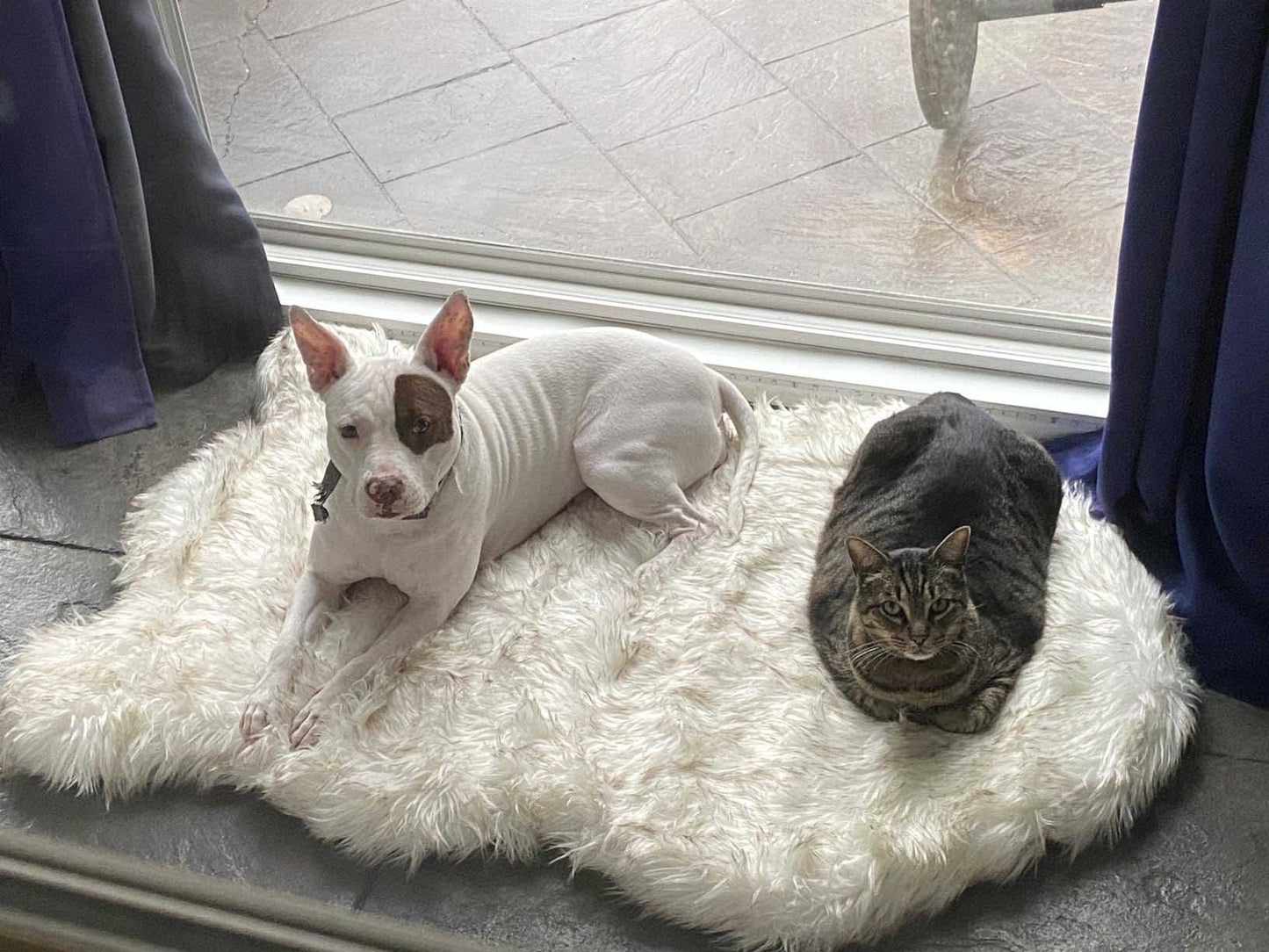 Luxury Fluffy Faux Fur Warm Dog Bed Calming Donut Dog Bed | Anti-Anxiety Faux Fur Shag