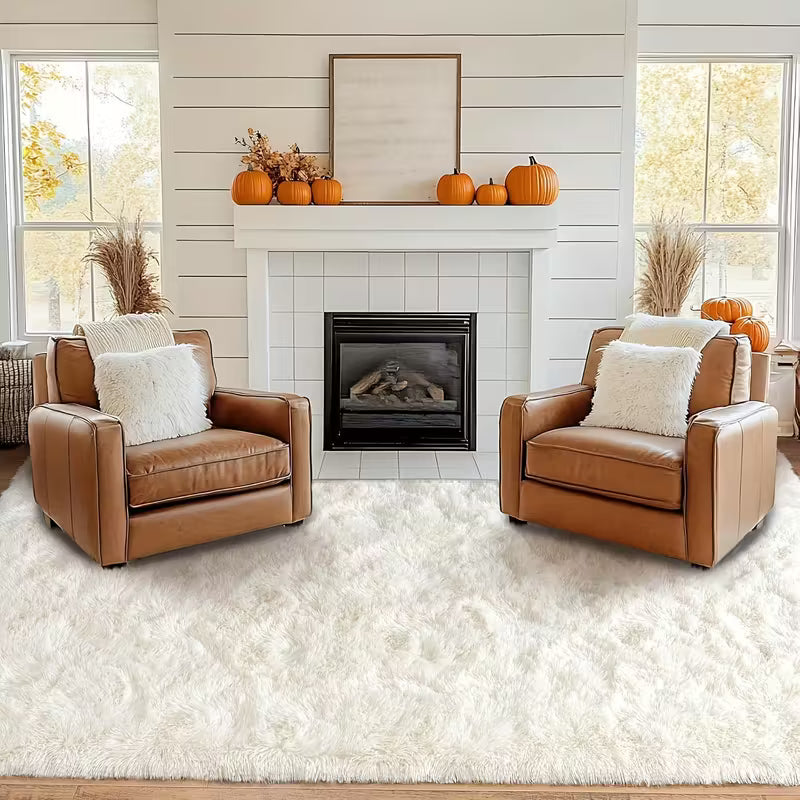 Machine-Washable Fluffy Mat｜Luxurious Texture for Modern Living Room & Home Decor