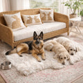 Cozy Home & Pet Essentials Bundle